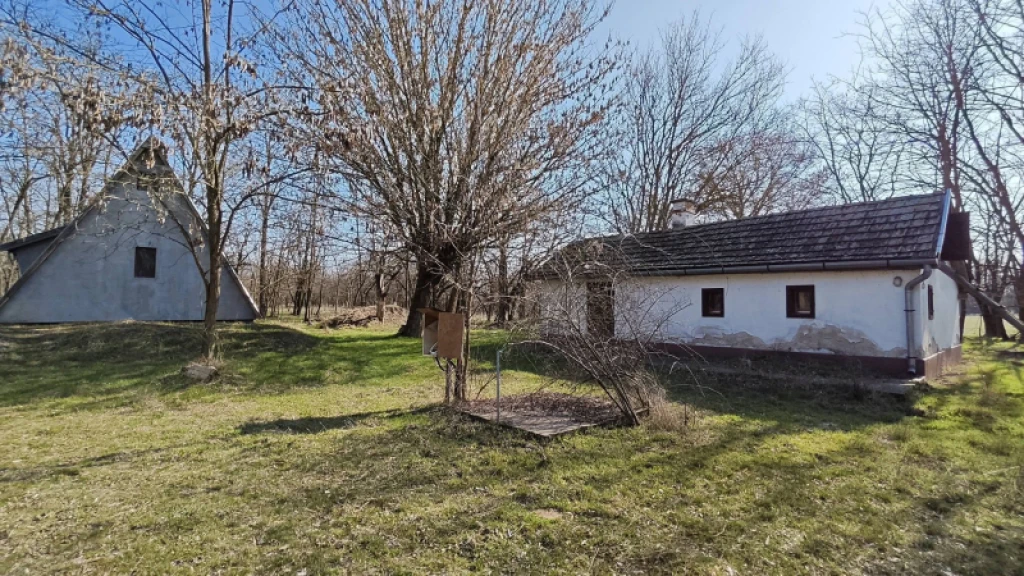 Eladó egyéb ház, Lajosmizse