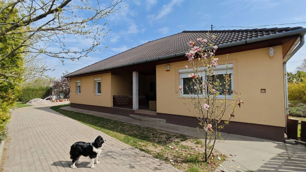 c3-1-name c2-6-name, Pilis