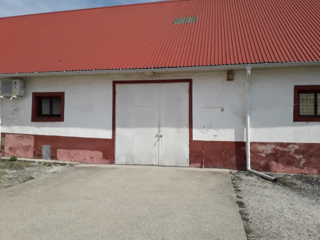 Kiadó egyéb kereskedelmi-ipari, Dabas