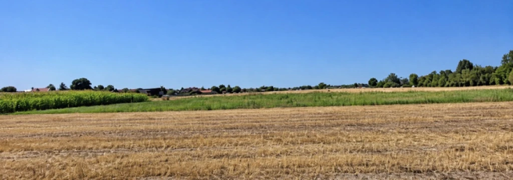 Eladó egyéb telek, Dabas
