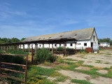 c3-1-name c2-59-name, Hódmezővásárhely