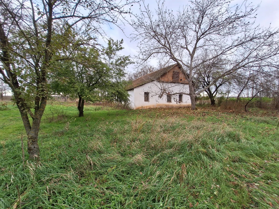 Eladó tanya, Hódmezővásárhely, Kútvölgytanya