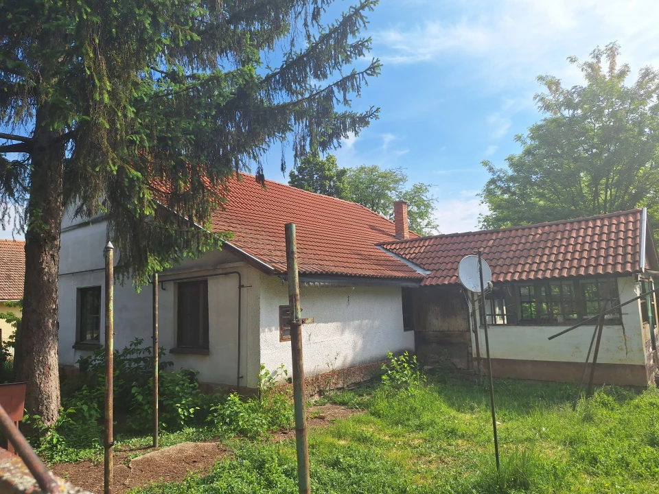 Eladó családi ház, Székkutas