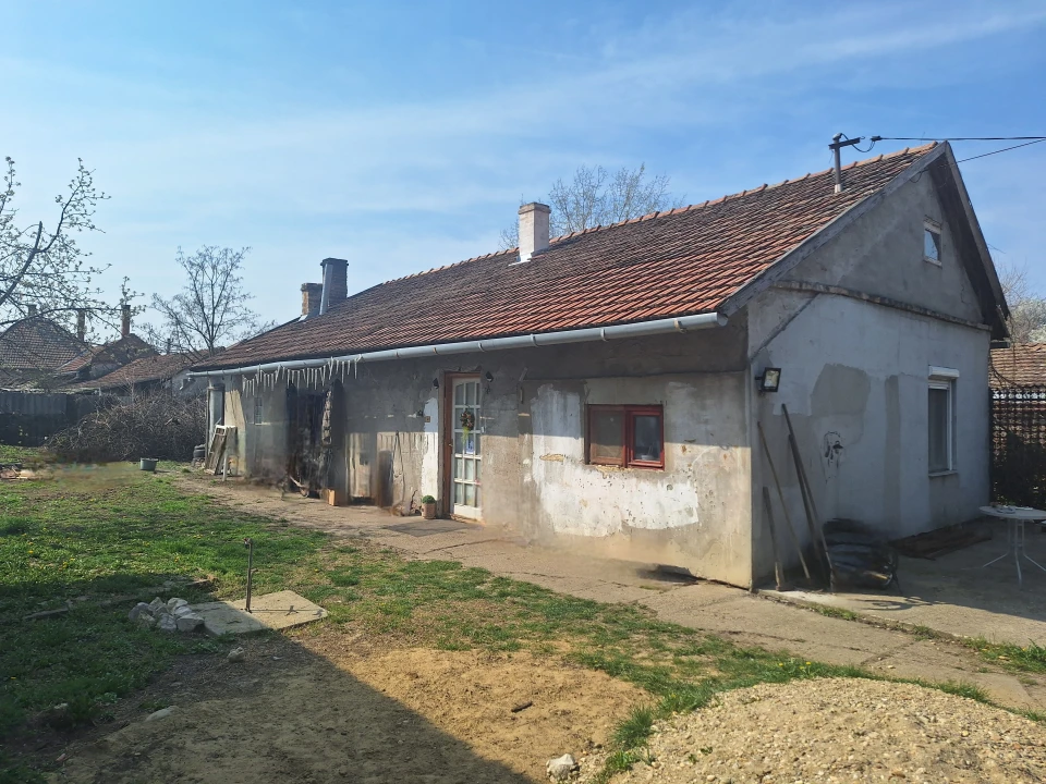 c3-1-name c2-1-name, Hódmezővásárhely, Nefelejcs utca