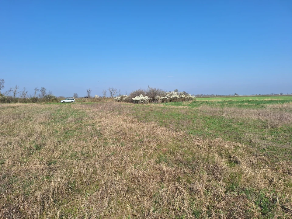 Eladó zártkert, Hódmezővásárhely
