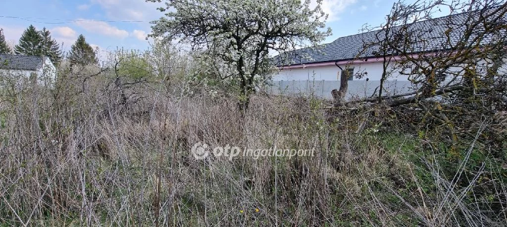 For sale building plot, Solymár, Hutweide