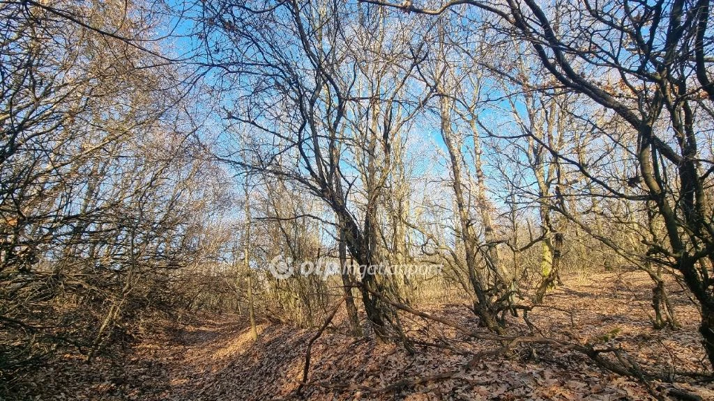 For sale plough-land, pasture, Pilisborosjenő, Egri vár környéke, levendula mezők