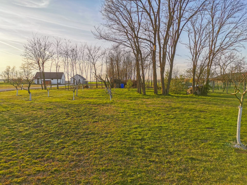 For sale building plot, Töltéstava