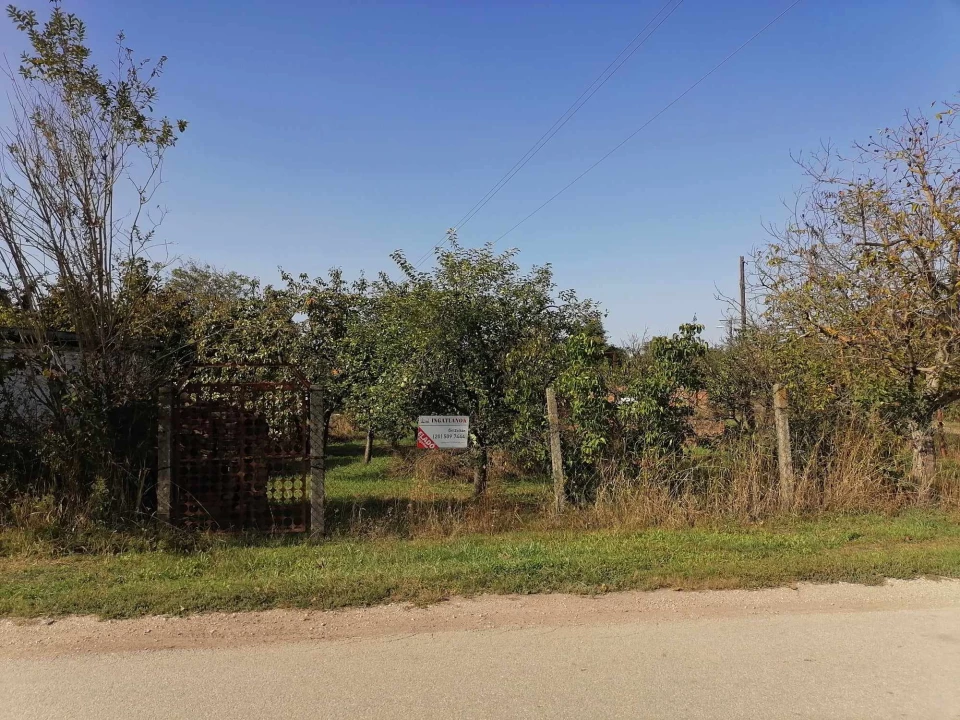 For sale orchard, Hódmezővásárhely