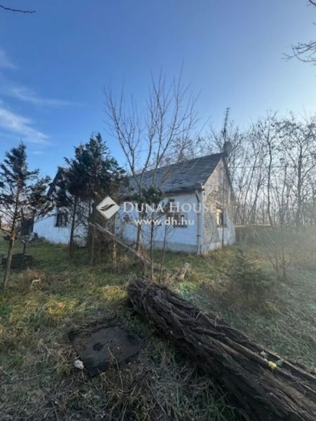 For sale plough-land, pasture, Nyírmártonfalva, Melánia tanya