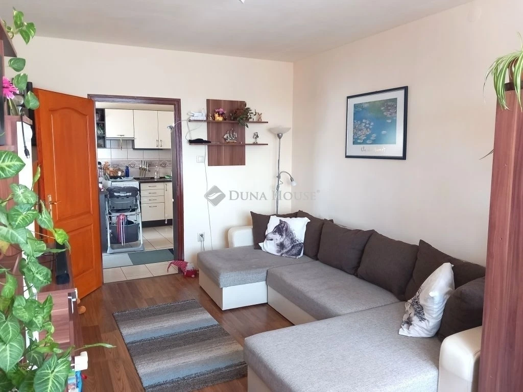 c3-1-name c2-20-name, Debrecen, Újkert, Jerikó utca