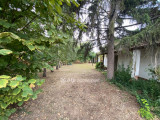 Eladó Telek