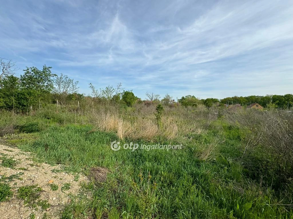 For sale building plot, Újlőrincfalva