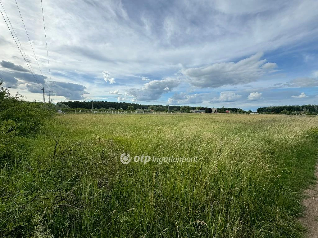 Eladó Telek, Abádszalók