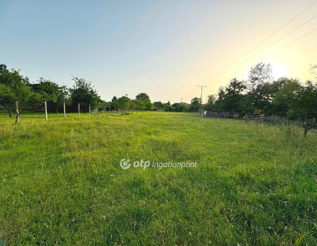 For sale building plot, Tiszafüred