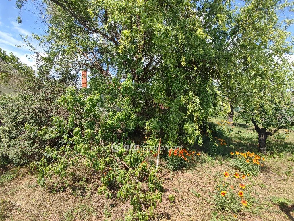 For sale house with a garden, Debrecen, Gáspár György-kert