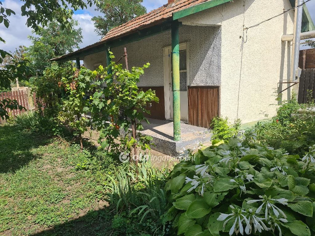 For sale house, Balmazújváros