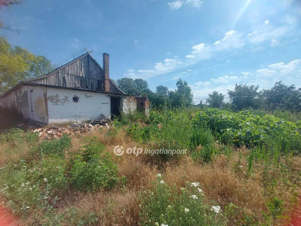 For sale plough-land, pasture, Monostorpályi