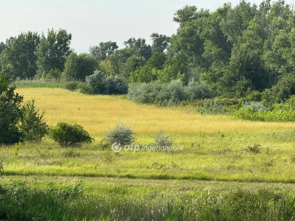 For sale building plot, Kisköre