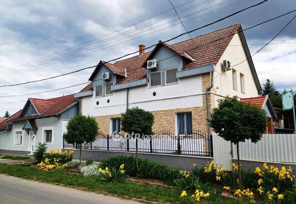 Eladó Panzió, Abádszalók