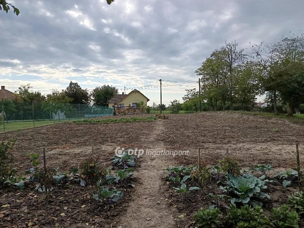 Eladó Telek, Tiszaigar