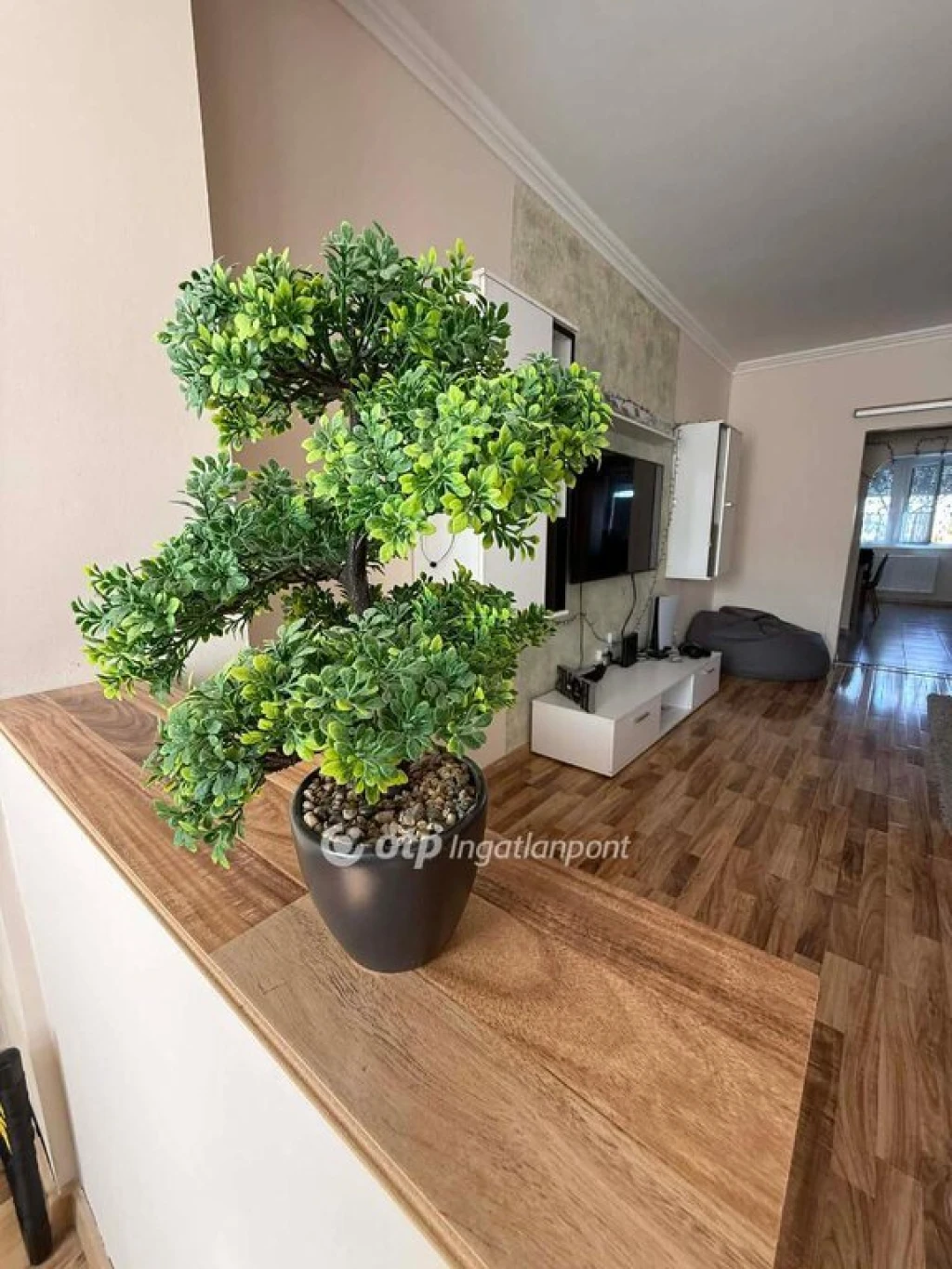 c3-1-name c2-23-name, Hajdúszoboszló