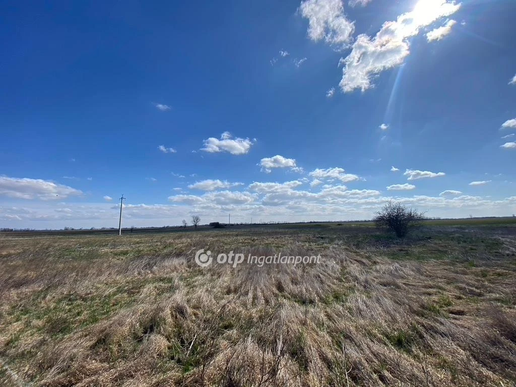 c3-1-name c2-50-name, Hortobágy