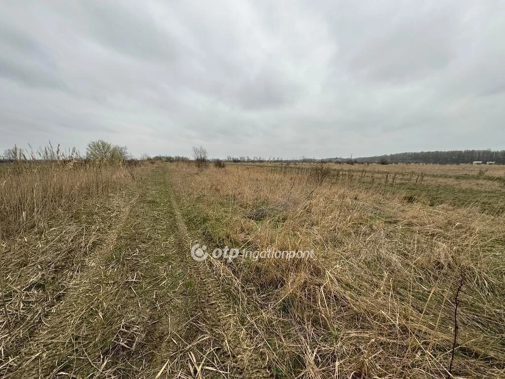 c3-1-name c2-53-name, Kisköre