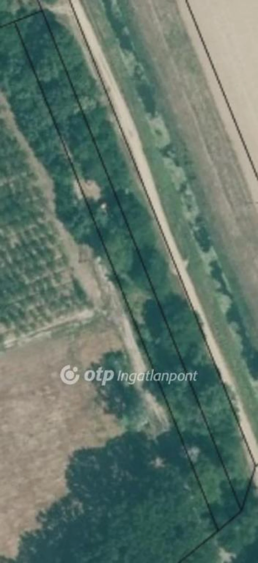 c3-1-name c2-53-name, Tiszaszőlős