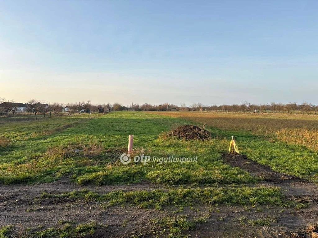 c3-1-name c2-50-name, Karcag