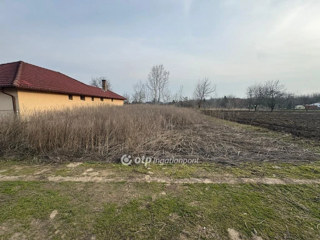 c3-1-name c2-50-name, Tiszafüred