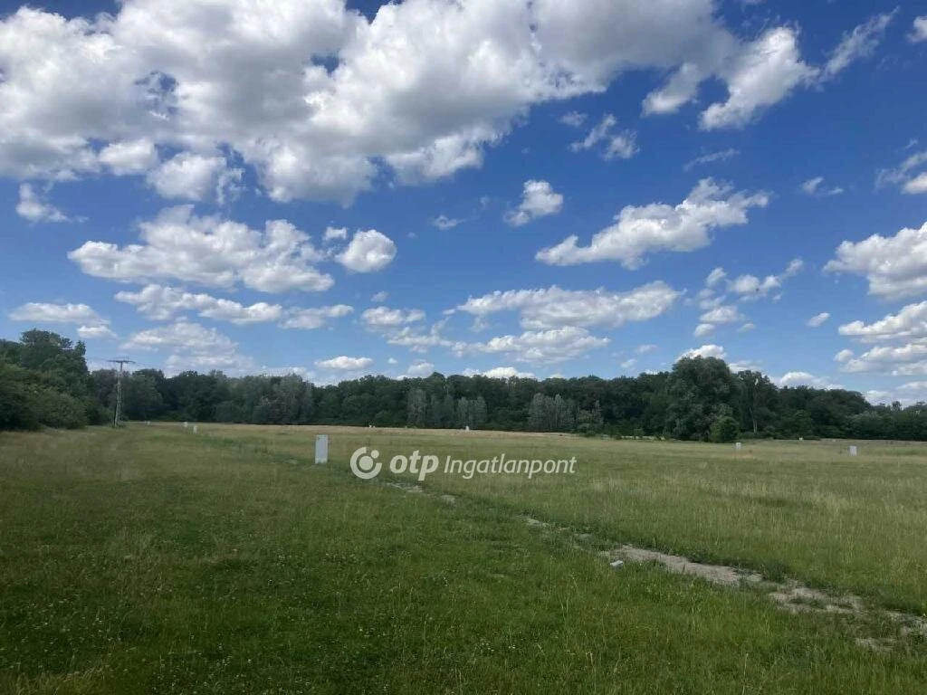 c3-1-name c2-50-name, Debrecen, Kertváros