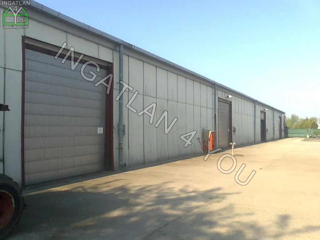 Kiadó 1000 ha egyéb mezőgazdasági, Mezőörs