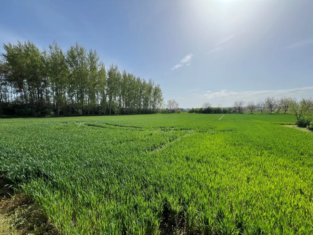Eladó 2877 m2 építési telek, Győrság