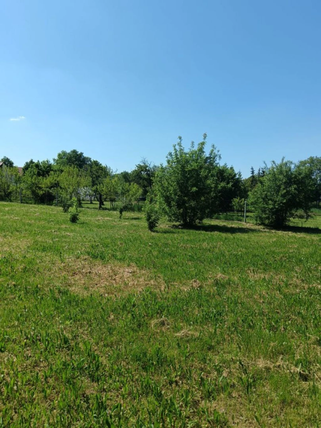 Nyúlon 1312m2-es építési telek eladó