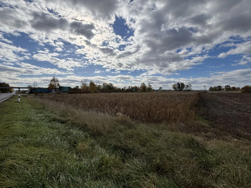 Eladó 616 m2-es gyümölcsös Győr közelében