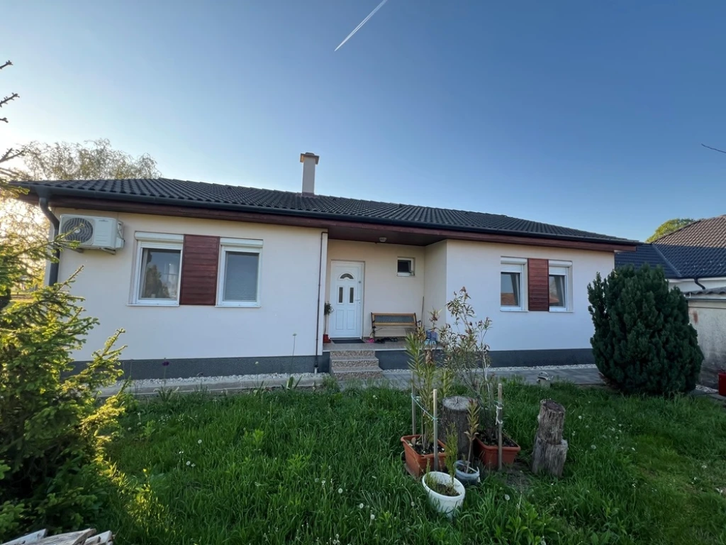 c3-1-name c2-1-name, Nyúl