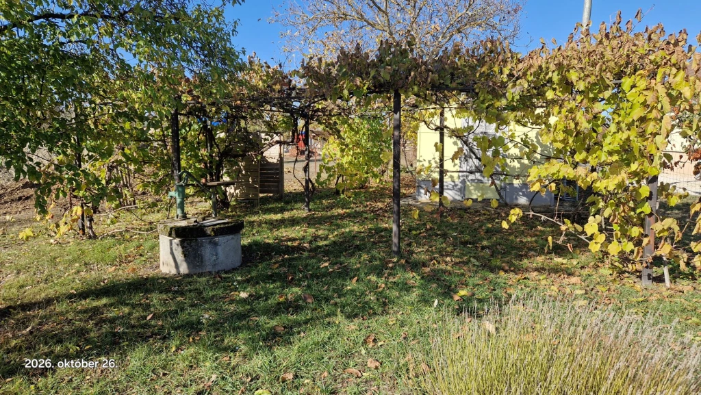 Győr - Győrszentiván természetküzeli telek eladó.