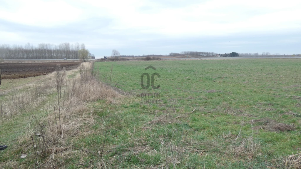 For sale periphery plot, Hajdúsámson, Pokolikert