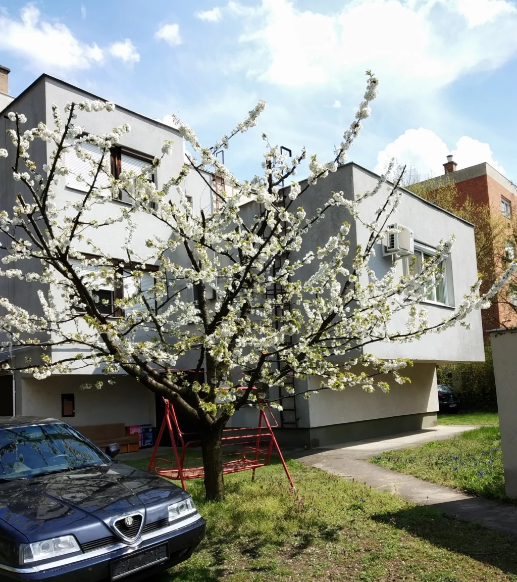 For sale brick flat, Debrecen, Nagyerdő