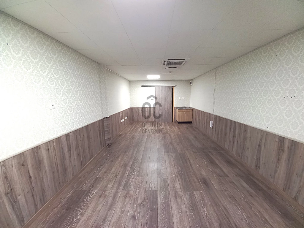 Kiadó egyéb kereskedelmi-ipari, Debrecen, Belváros