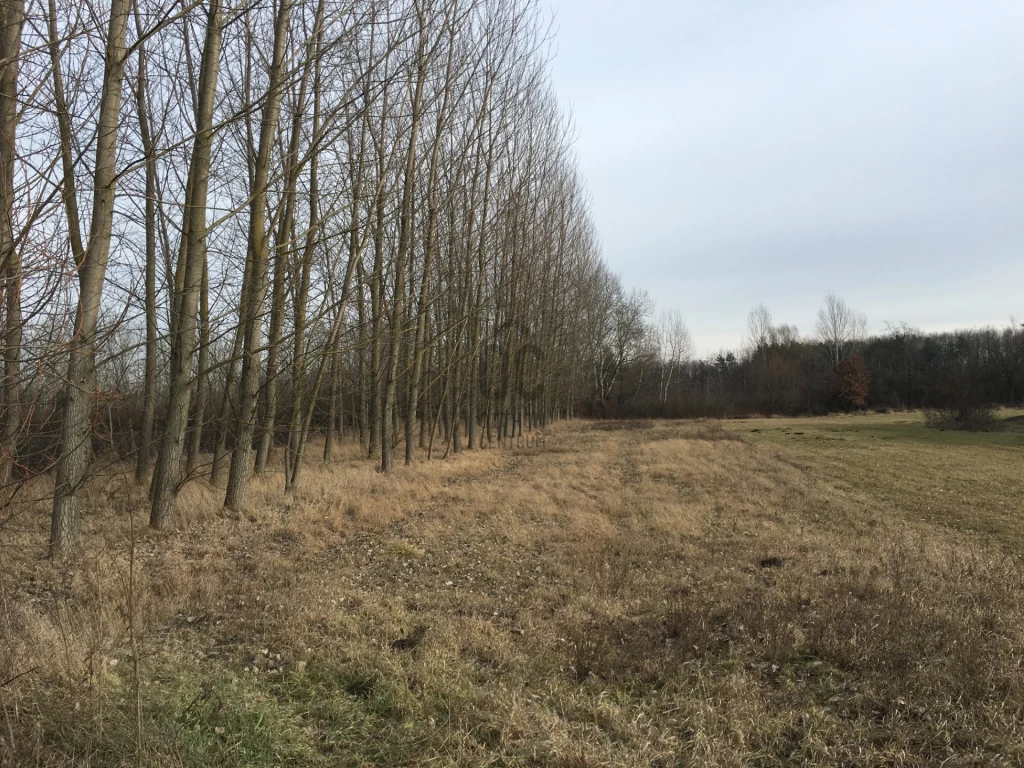 c3-1-name c2-60-name, Téglás, Téglás