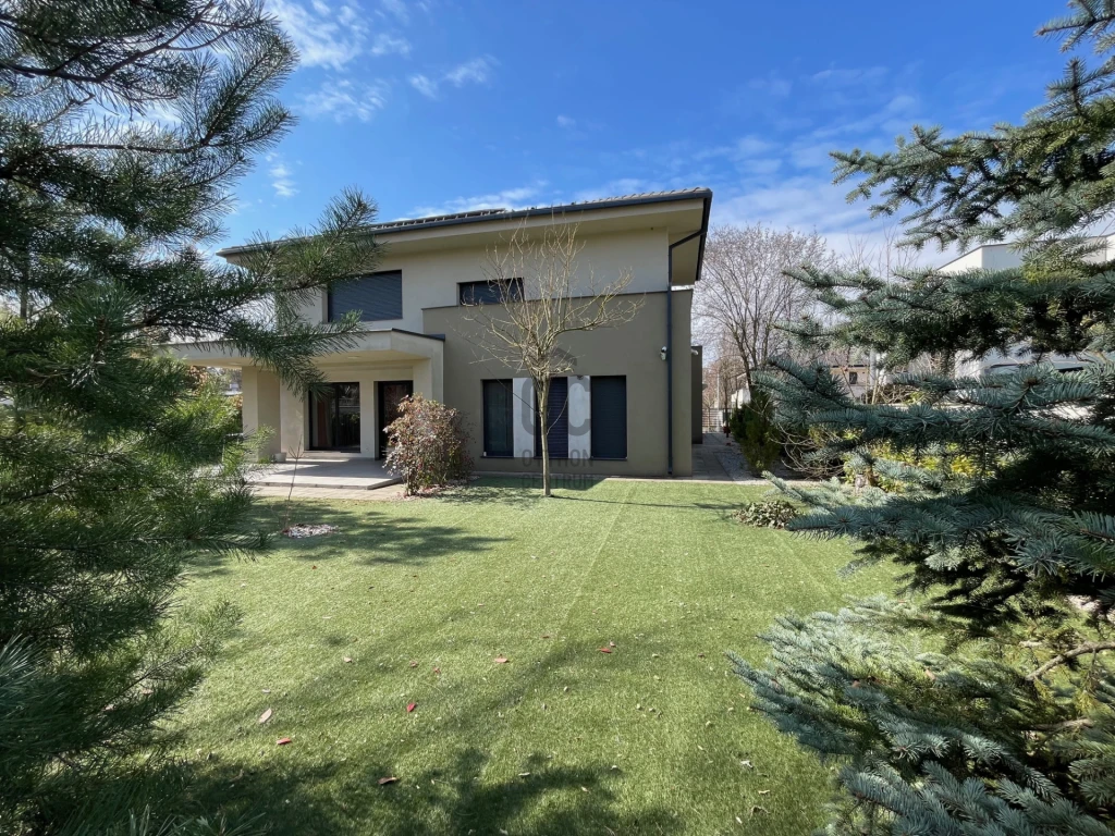 c3-1-name c2-1-name, Debrecen, Nyulas