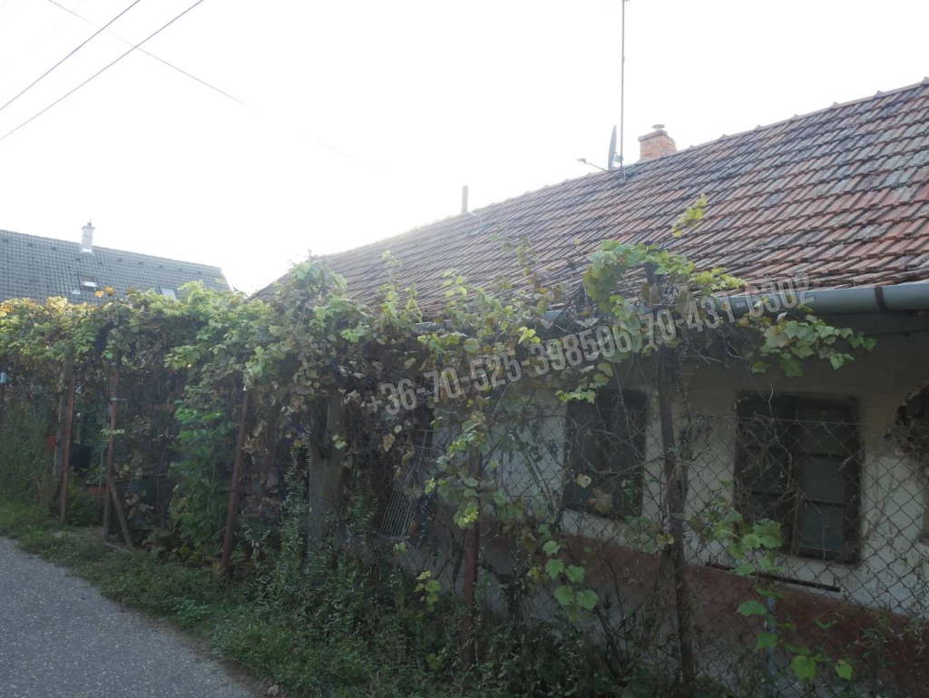 For sale house, Albertirsa, Irsa