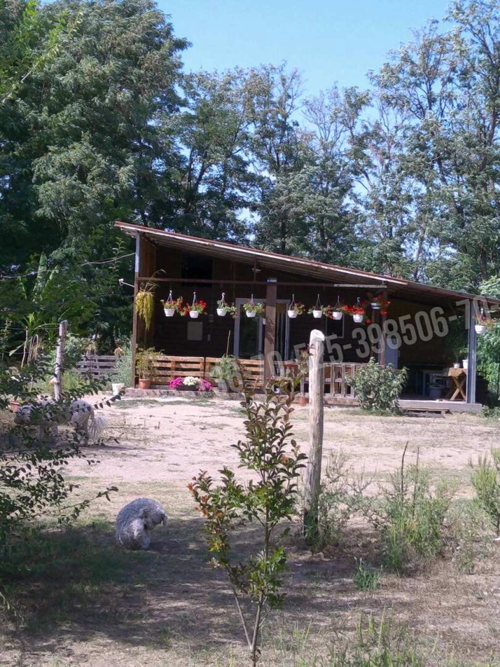 For sale grange, Lajosmizse