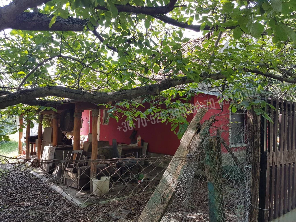 Eladó Tanya, Albertirsa,  Nincs megadva, 70nm, 21500000 Ft