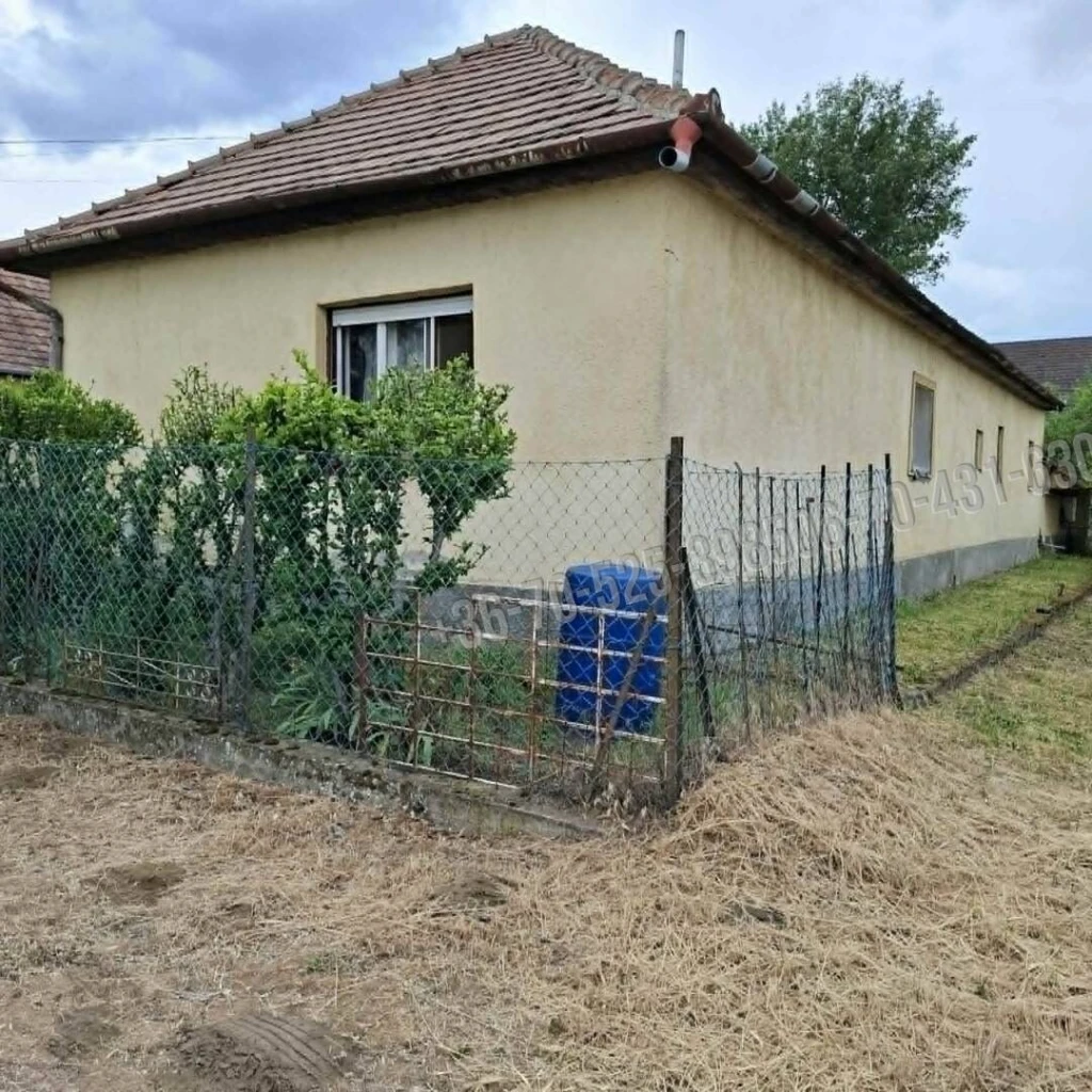 c3-1-name c2-1-name, Tápiószecső, Központ