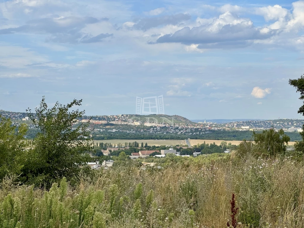 Eladó építési telek, Budaörs, Budaörsi Kamaraerdő, Fácán köz