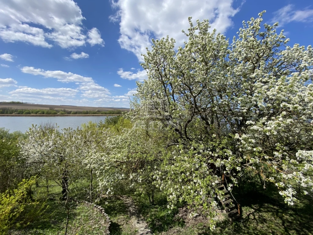 Eladó családi ház, Biatorbágy, Kivételes tóparti birtok!