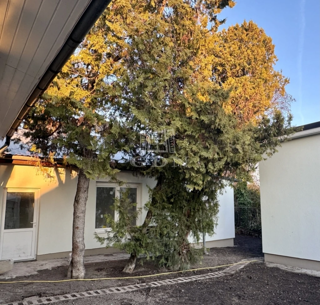 c3-1-name c2-1-name, Budapest XXII. kerület, Baross Gábor telep, Szeparált kerttel és terasszal